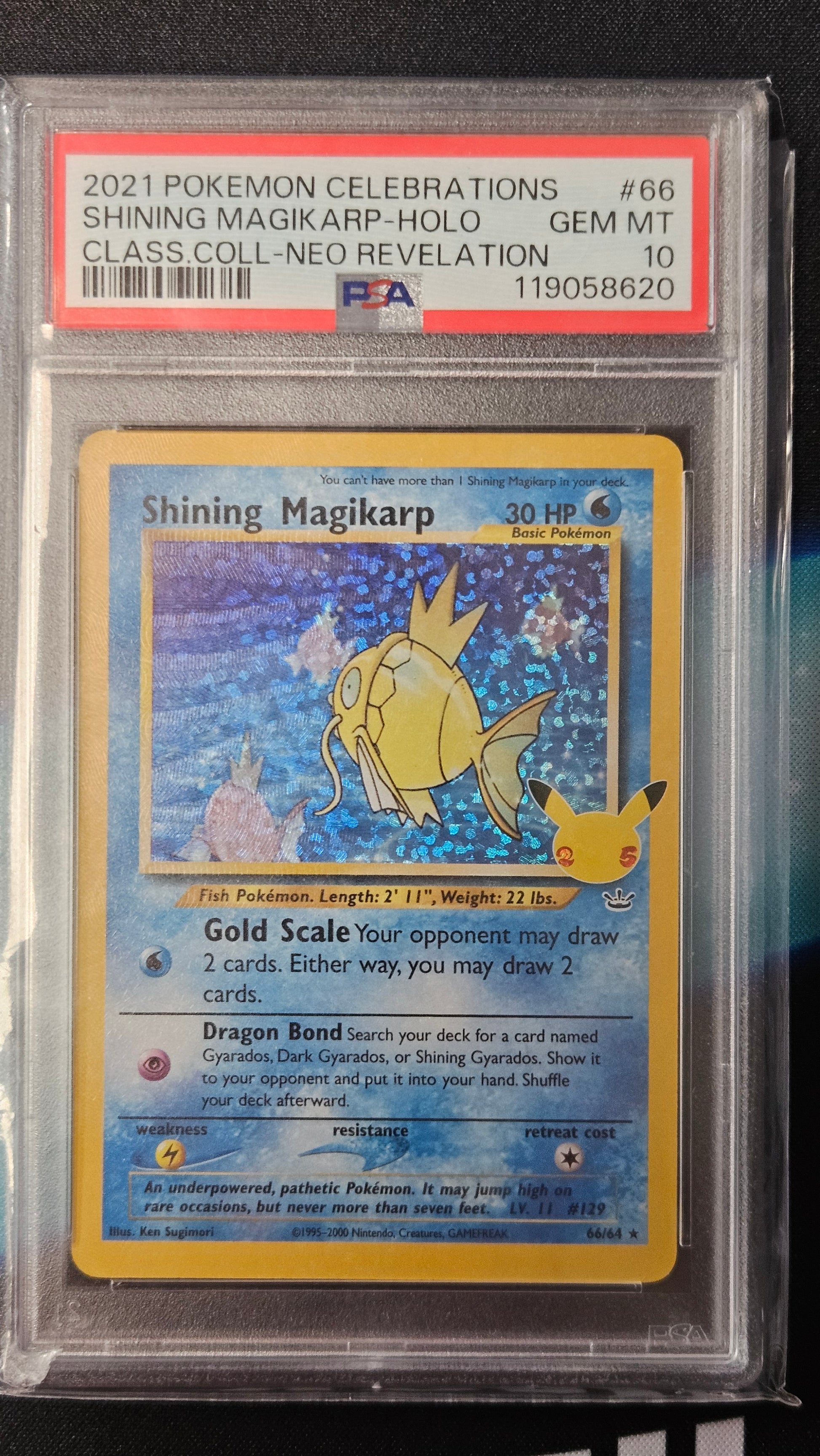 Shining Magicarp Celebrations Classic Collection 66/64 Holo PSA 10 GEM Raftel Collectables Shining Magicarp Celebrations Classic Collection 66/64 Holo PSA 10 GEM Raftel Collectables